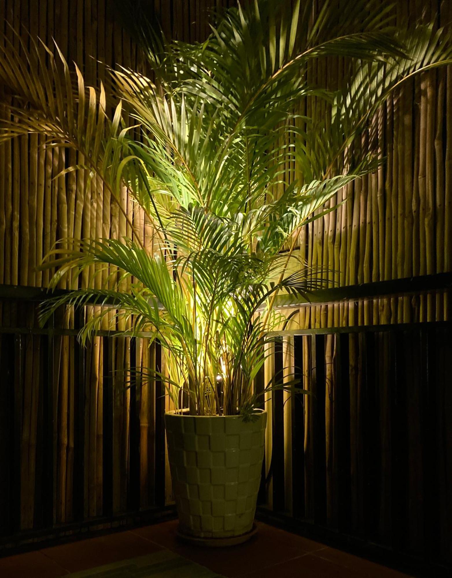 Lotus Haven Villa سيام ريب المظهر الخارجي الصورة