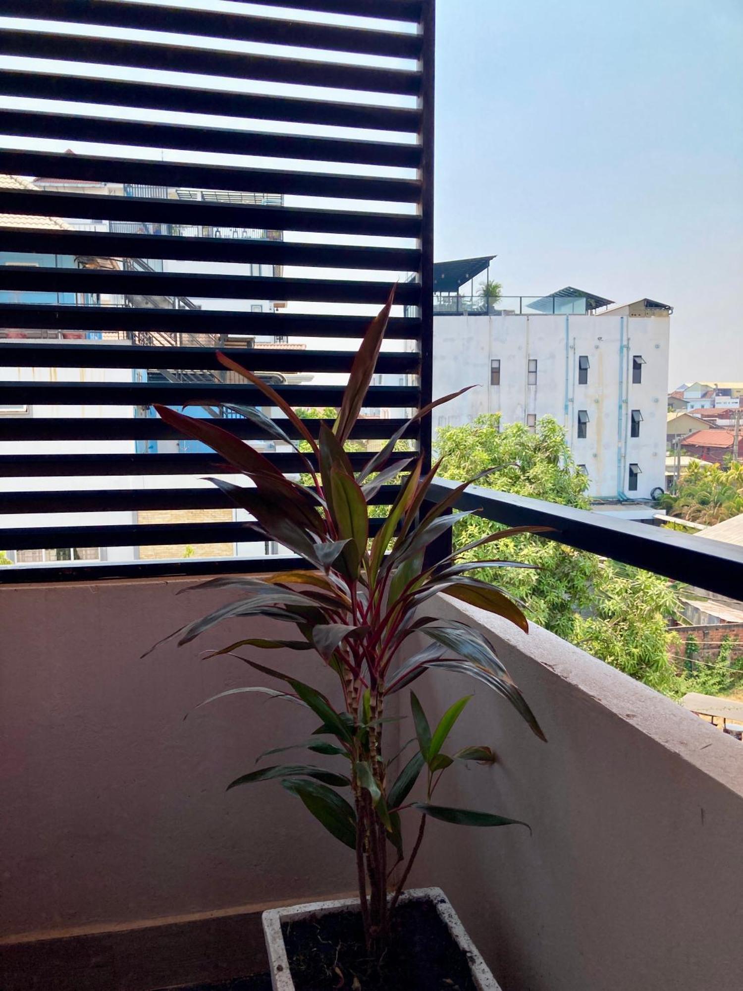 Lotus Haven Villa سيام ريب المظهر الخارجي الصورة